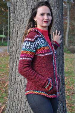 Veste à capuche rouille