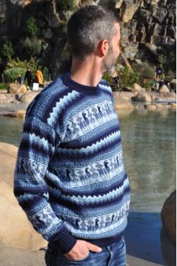 Pullover bleu marine en alpaga