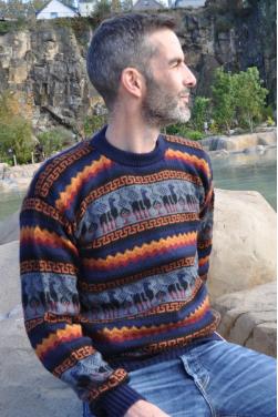 Pull-over jacquard homme bleu marine