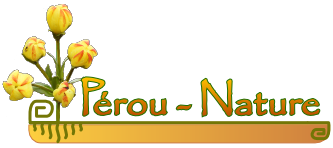 Perou-Nature.fr : bienvenue sur notre site spécialisé dans la vente de ponchos, pulls, vestes en laine d'alpaga et cadeaux du commerce équitable.