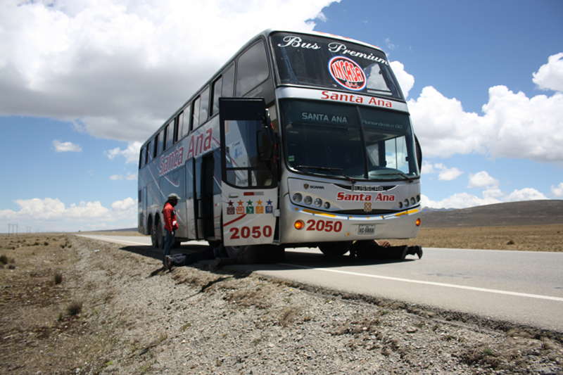 bus collectivo