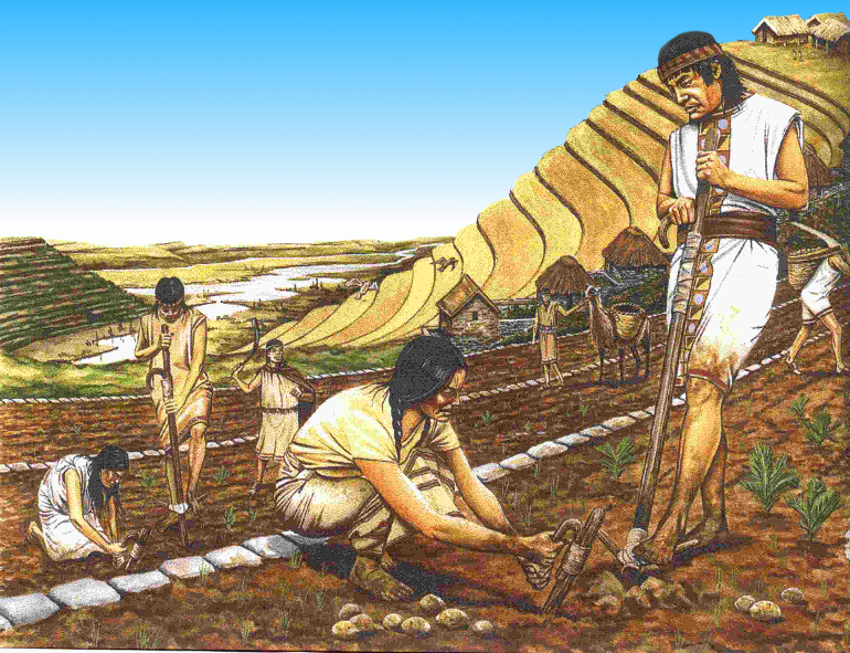 paysans incas